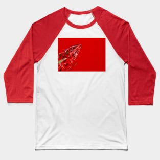 The Chameleon Baseball T-Shirt